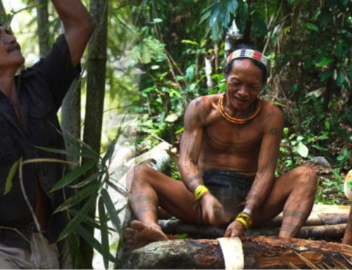 In Indonesia la gestione delle foreste va alle comunità indigene